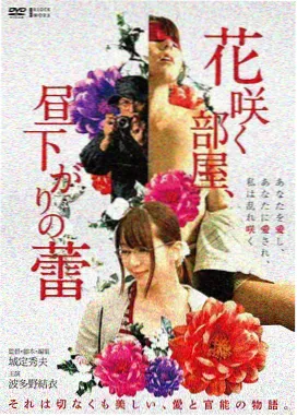 专题图鉴 胶片颗粒与修复取舍 封面视觉